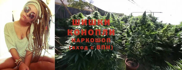 ALPHA PVP Медвежьегорск