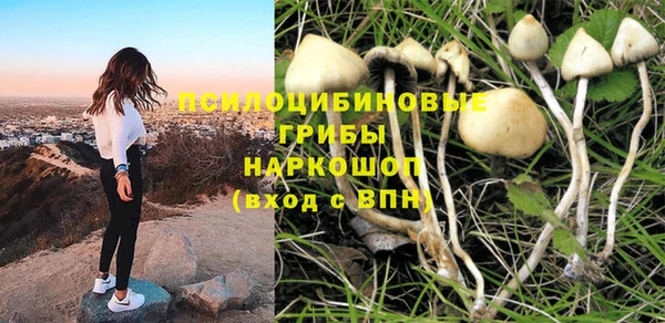 мдма Медногорск