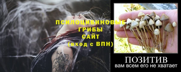 мдма Медногорск