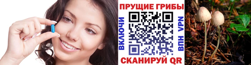 Галлюциногенные грибы GOLDEN TEACHER где можно купить Покачи